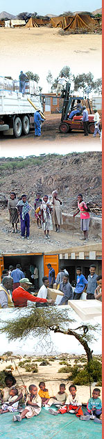 Campagna in Eritrea nel 2001