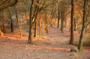 Area naturalistica Pietramarina